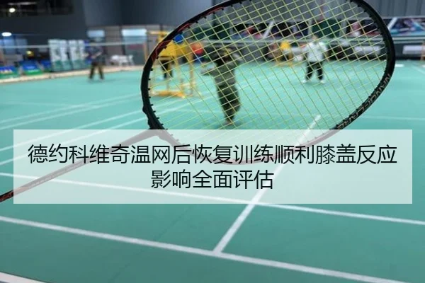 德约科维奇温网后恢复训练顺利膝盖反应影响全面评估