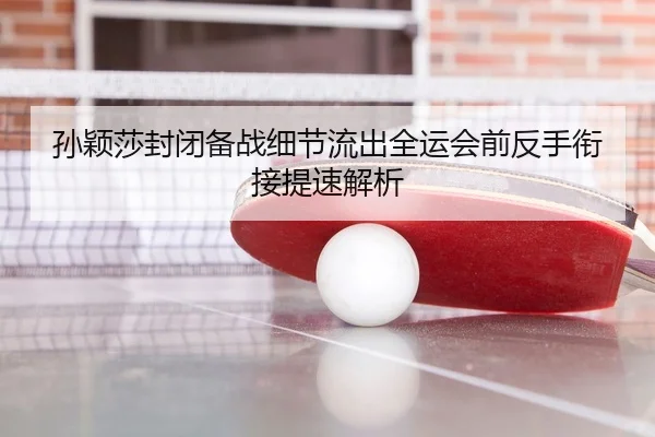 孙颖莎封闭备战细节流出全运会前反手衔接提速解析