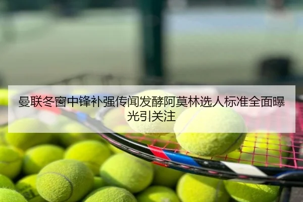 曼联冬窗中锋补强传闻发酵阿莫林选人标准全面曝光引关注